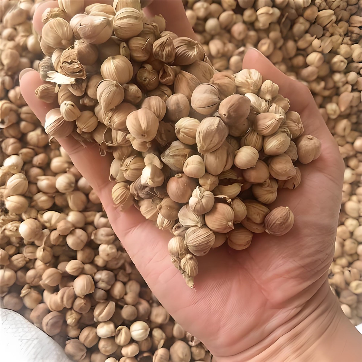 豆蔻进口清关报关代理公司