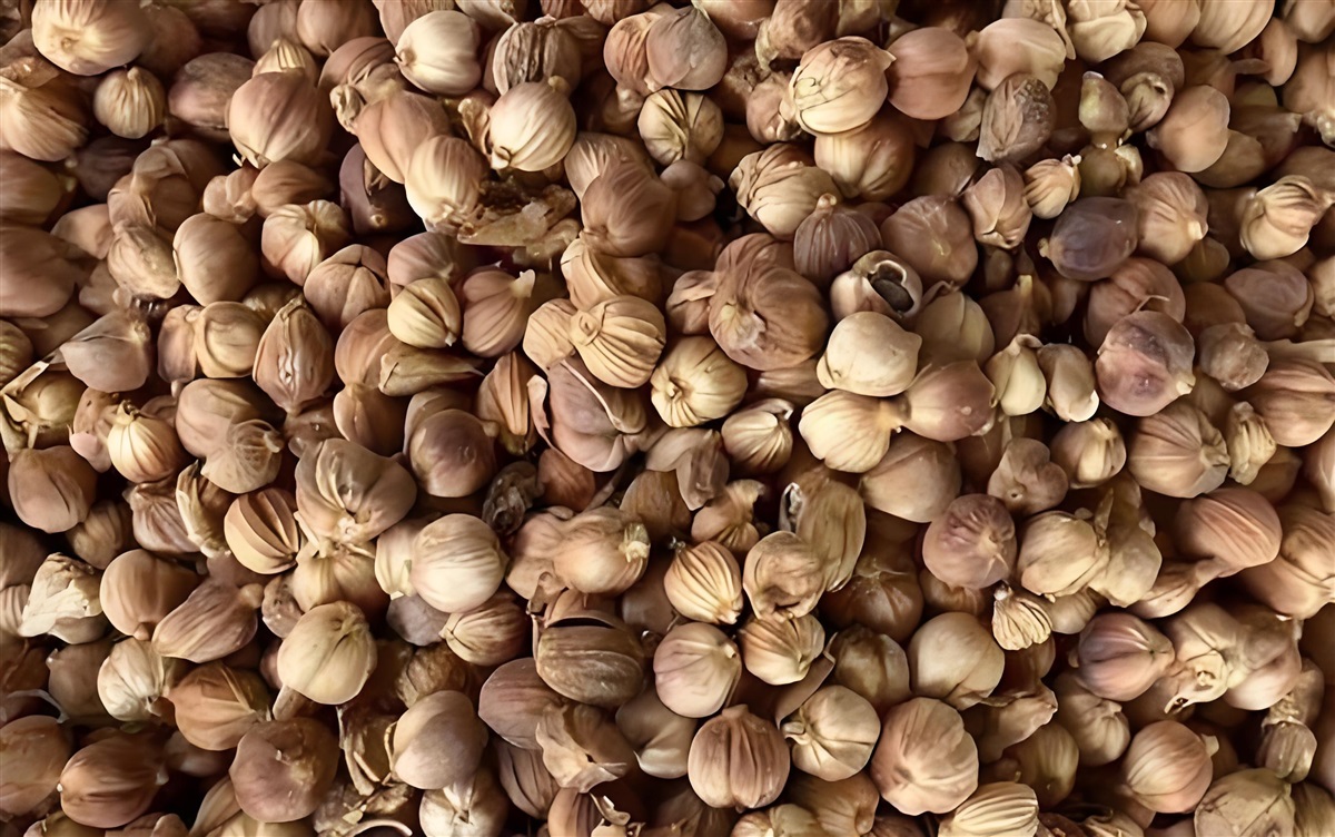 豆蔻进口清关报关代理公司