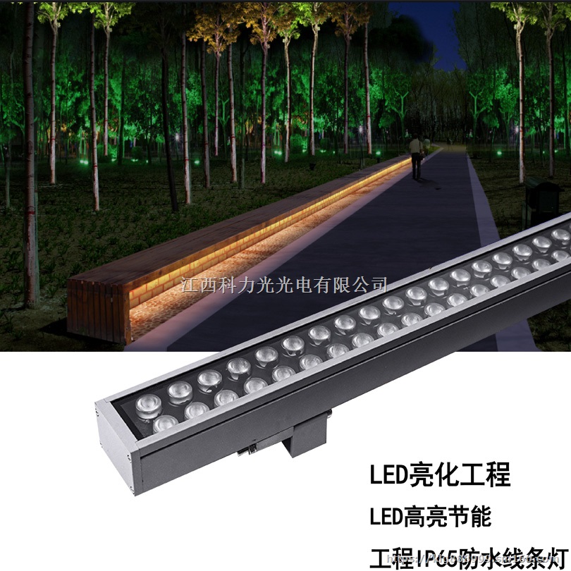 兴国亮化工程灯