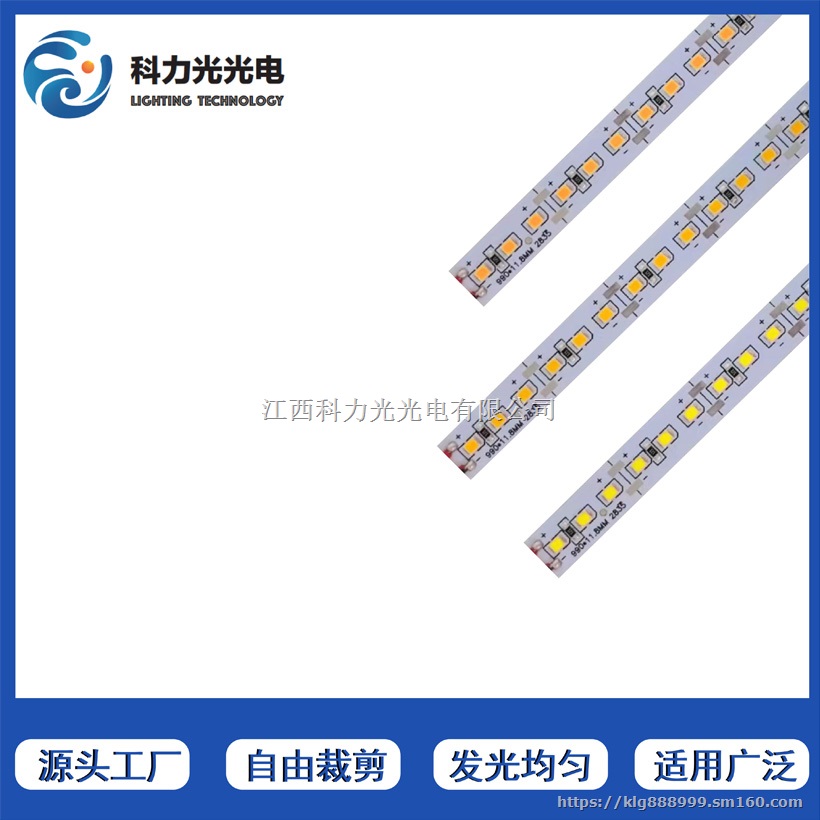 兴国亮化工程灯