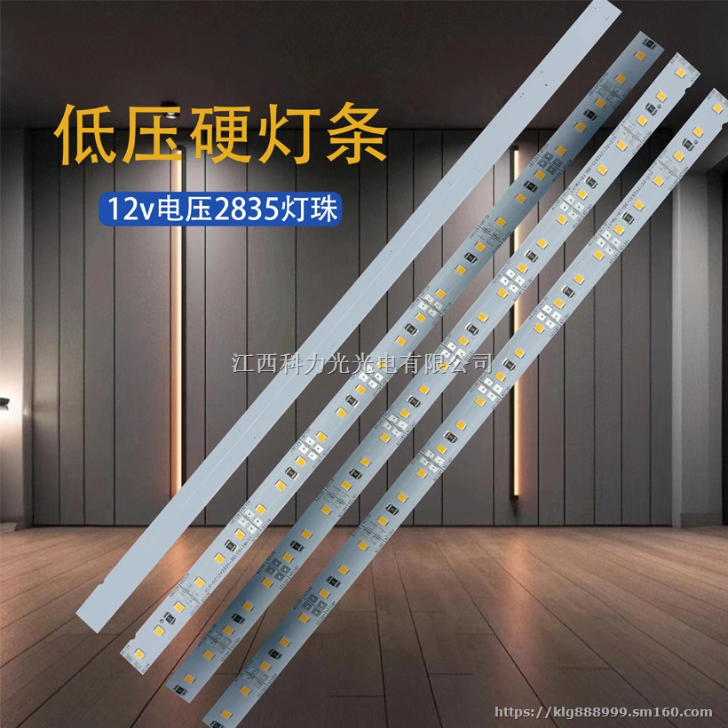 兴国亮化工程灯