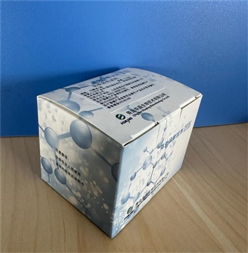 荧光免疫显色试剂 细胞荧光染色液