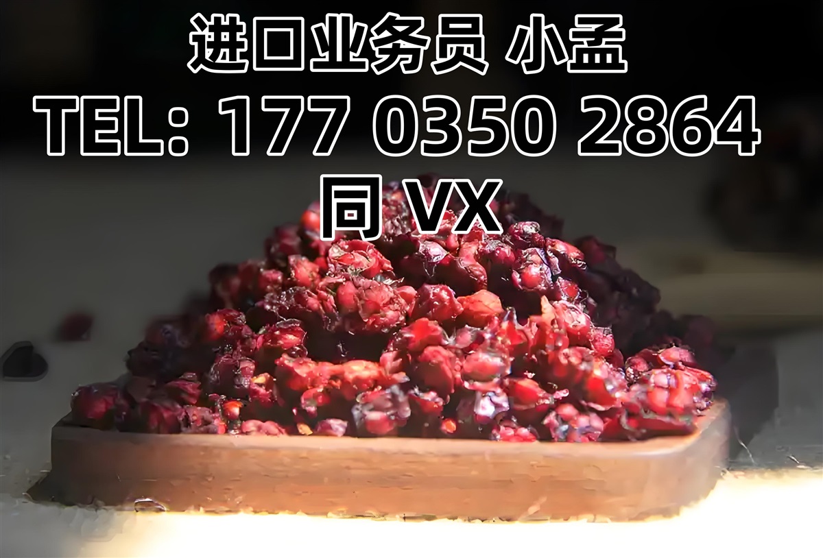 广州港五味子进口报关代理公司/进口五味子报关代理