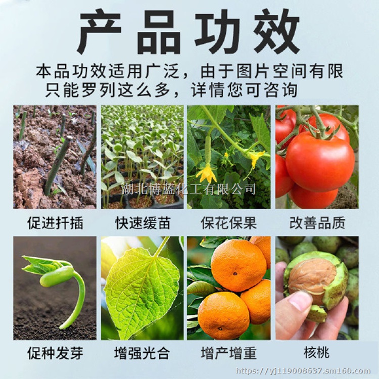 10%强力生根粉生产厂家 杨树生根粉