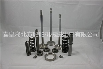 供应瓦锡兰WARTSILA W6L46柴油机配件