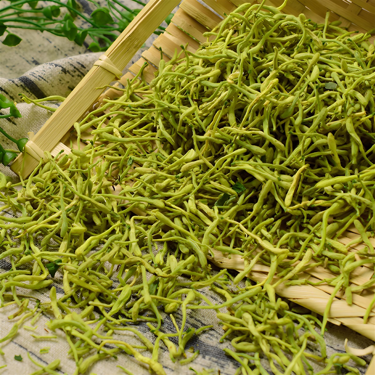 天津金银花进口清关