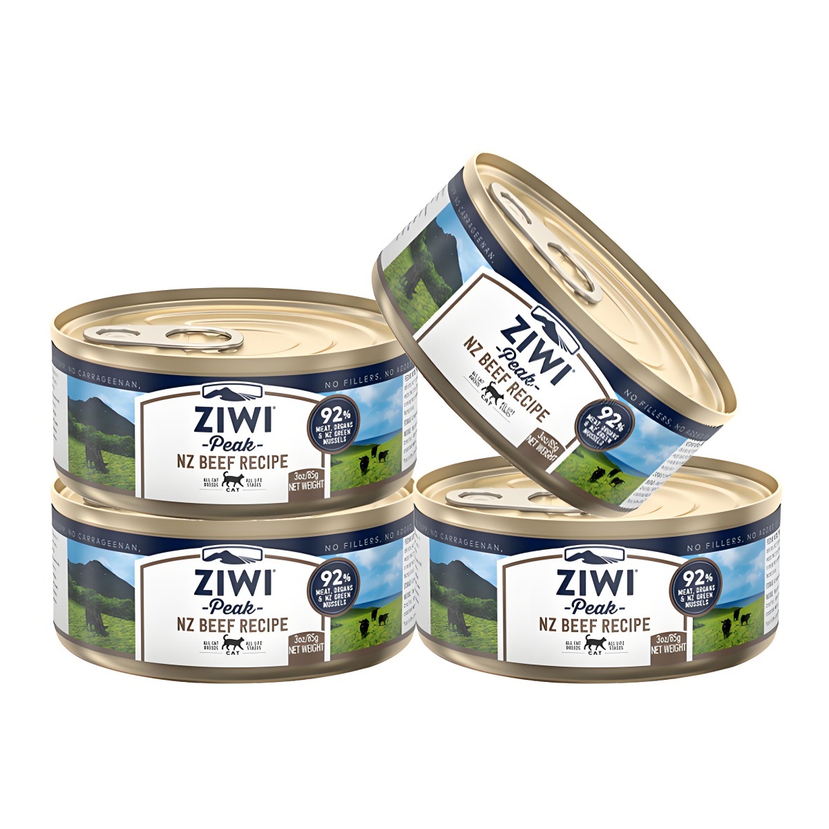 天津罐头进口清关代理