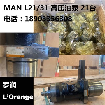 现货库存MAN L21/31罗润高压油泵 活塞