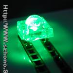 供应绿光食人鱼